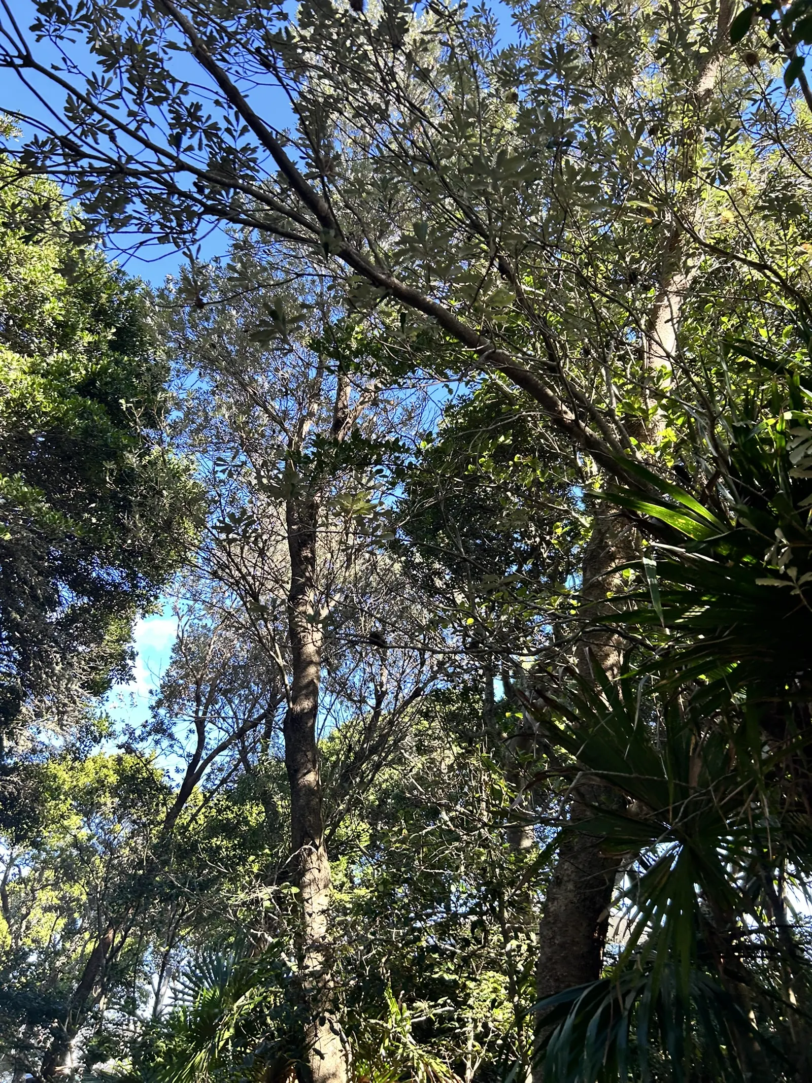 Tax in Lake Macquarie