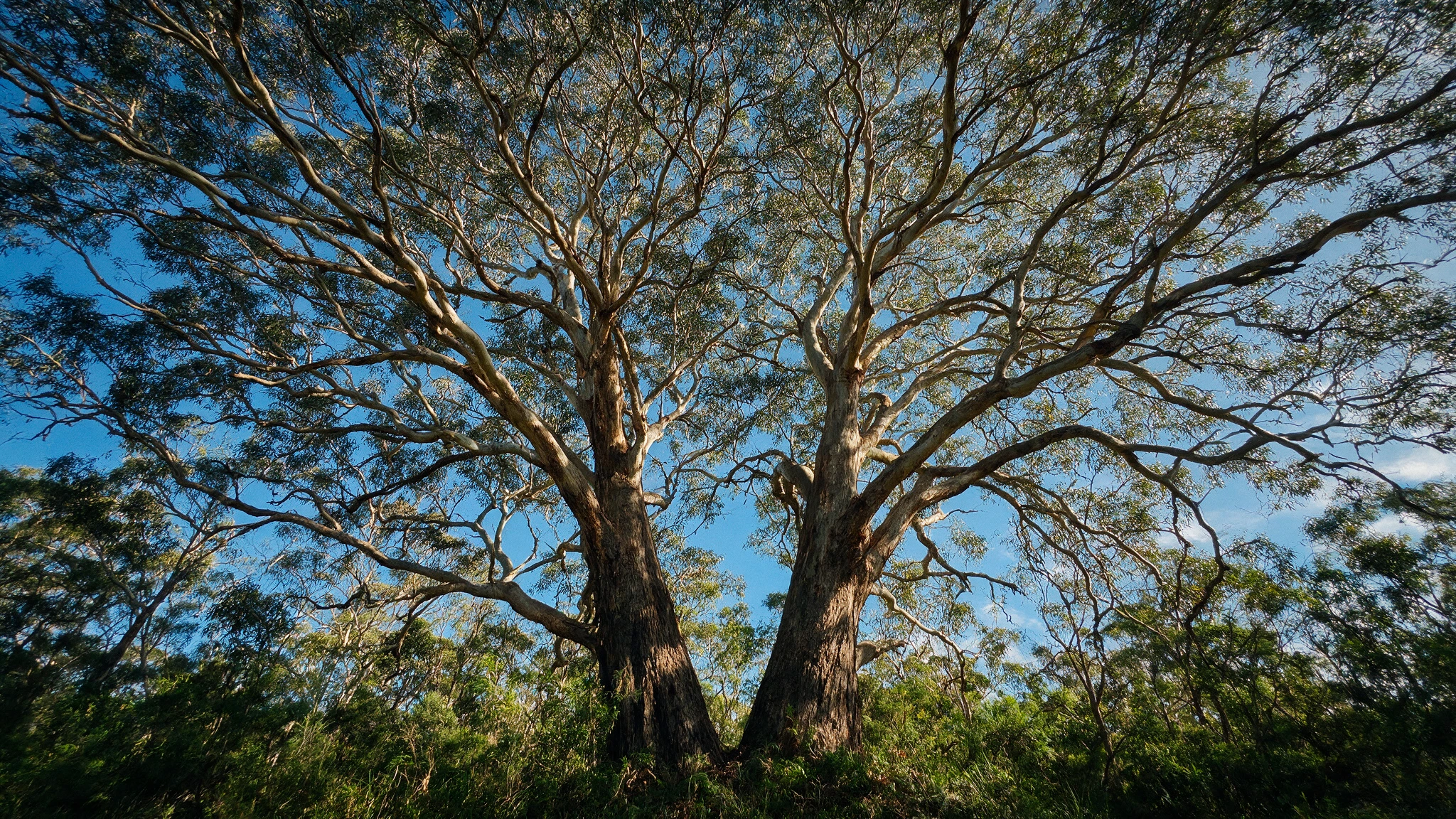 Partnership Accounting in Lake Macquarie